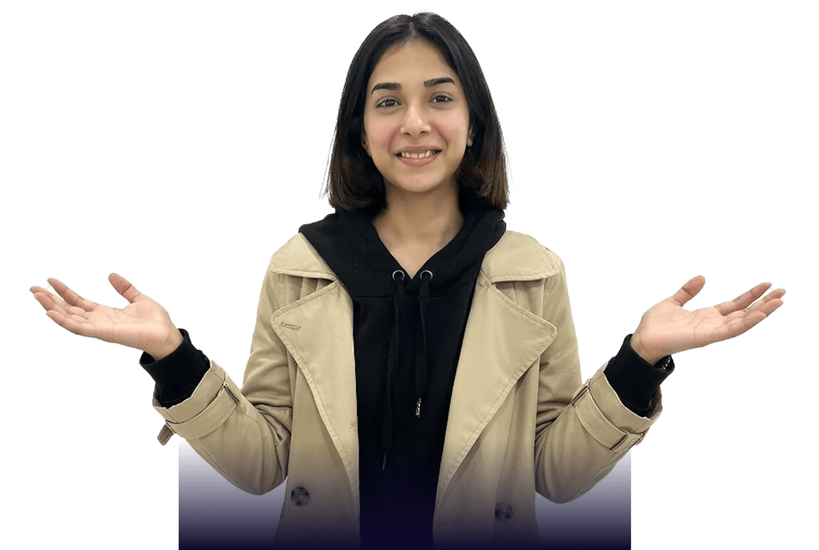 Web design professional