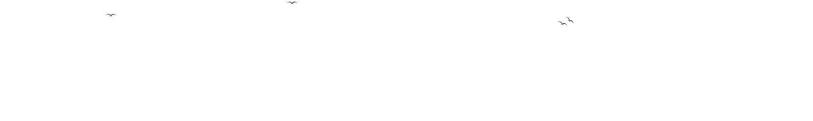  flying bird image at journey of webcooks 